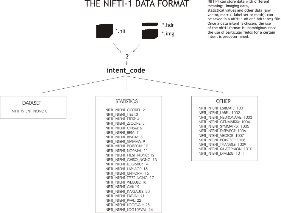 Overview of the NIfTI-1 intents